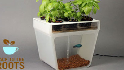 Back to the Roots Growing Food Education, Reducing Waste Thanks to Smart Design