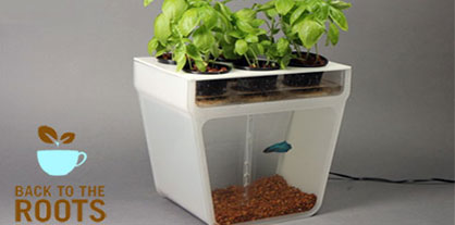 Back to the Roots Growing Food Education, Reducing Waste Thanks to Smart Design