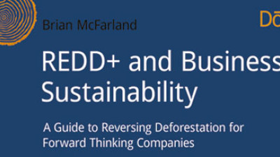 How Preserving Forests Can Profit Business – An eBook Review