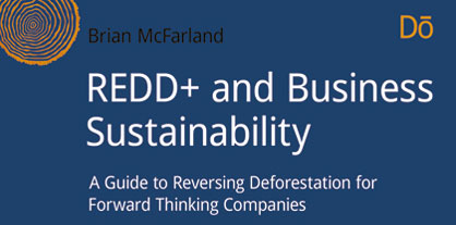 How Preserving Forests Can Profit Business – An eBook Review