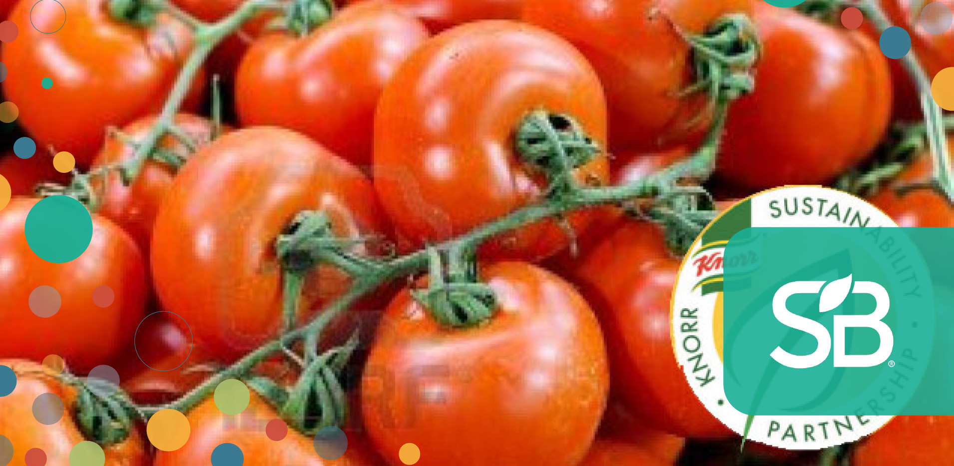 Unilever Promotes Sustainable Ingredients on Knorr Soup Packs