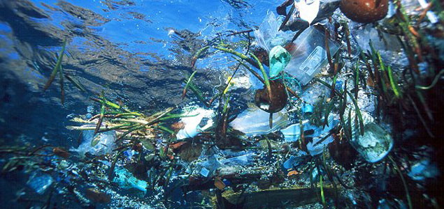 Ecover Developing New Type of Recycled Plastic from Recovered Marine Waste