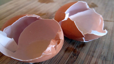 UK Researchers Make Eggshells into Bioplastic