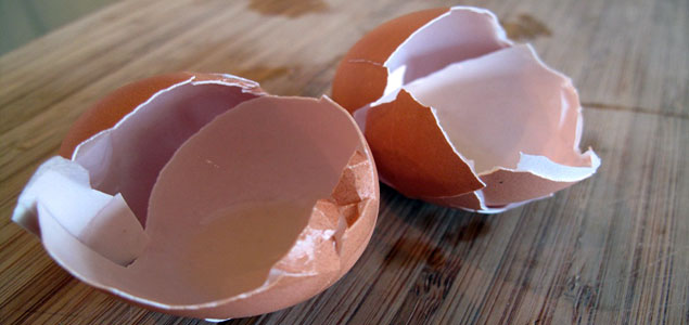 UK Researchers Make Eggshells into Bioplastic