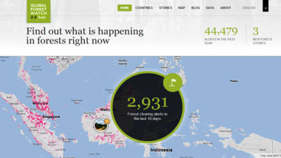 Global Forest Watch 2.0 Fights Deforestation With Google Technology