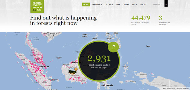 Global Forest Watch 2.0 Fights Deforestation With Google Technology