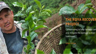 Sustainable Harvest Launches Disaster Relief Effort For Organic Coffee Farmers in Latin America