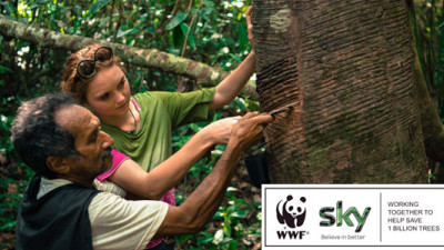 Sky Rainforest Rescue: Engaging Consumers to Purpose While Creating Clear Business Benefits