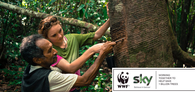 Sky Rainforest Rescue: Engaging Consumers to Purpose While Creating Clear Business Benefits