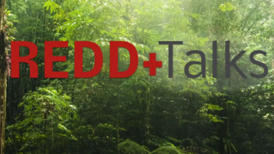Puma, Microsoft Call For Forest Protection To Combat Climate Change at REDD+ Talks