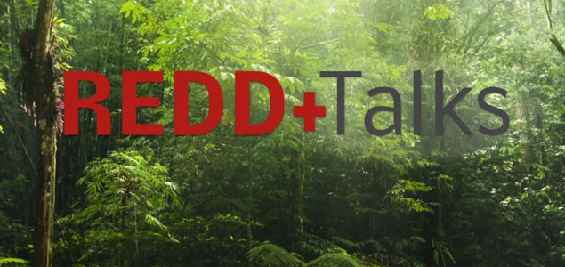 Puma, Microsoft Call For Forest Protection To Combat Climate Change at REDD+ Talks