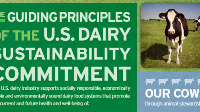 Dairy Supply Chain Launches Sustainability Reporting Guide