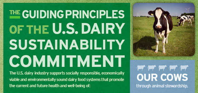 Dairy Supply Chain Launches Sustainability Reporting Guide