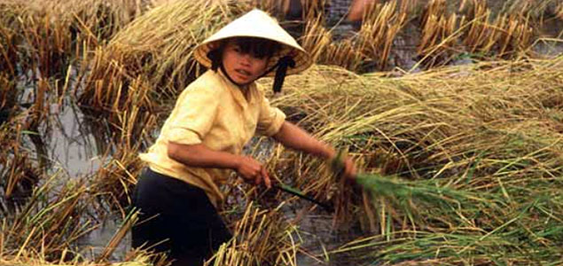 Investment in Women is the Key to Global Food Security