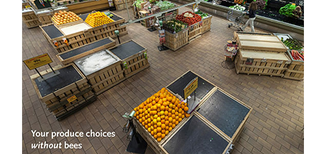 Rhode Island Whole Foods' Produce Display Urges Consumers to Help Preserve Pivotal Pollinators