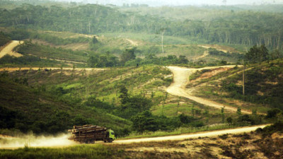 Asia Pulp and Paper Reports Latest on No Deforestation Policy in Third 'Vision 2020' Update