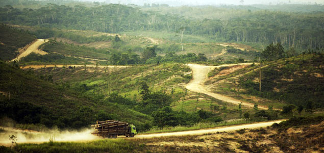 Asia Pulp and Paper Reports Latest on No Deforestation Policy in Third 'Vision 2020' Update