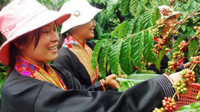 Mondelez International Helping 1,500 Vietnamese Coffee Farmers Become Sustainable Entrepreneurs