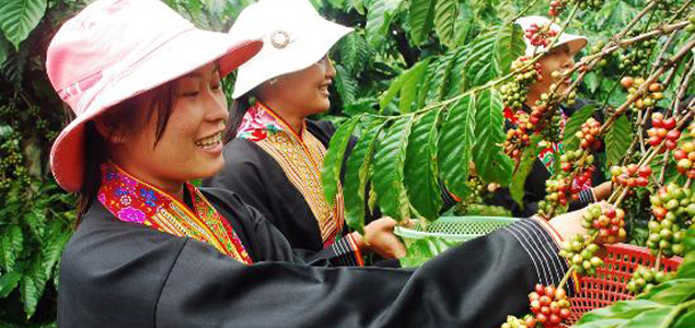 Mondelez International Helping 1,500 Vietnamese Coffee Farmers Become Sustainable Entrepreneurs