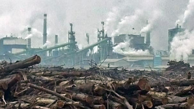 Paper Company Rejects FSC to Dodge Inquiry About Indonesian Deforestation Practices