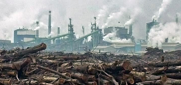 Paper Company Rejects FSC to Dodge Inquiry About Indonesian Deforestation Practices