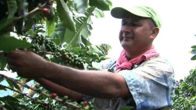Study Shows Farmers Working with Rainforest Alliance and Nespresso Earn 87% More