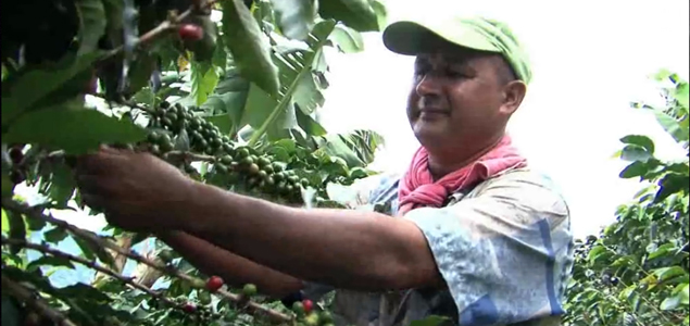 Study Shows Farmers Working with Rainforest Alliance and Nespresso Earn 87% More