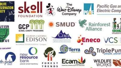 Key Global Stakeholders Express Support for REDD+ Protocol in California's Climate Policy