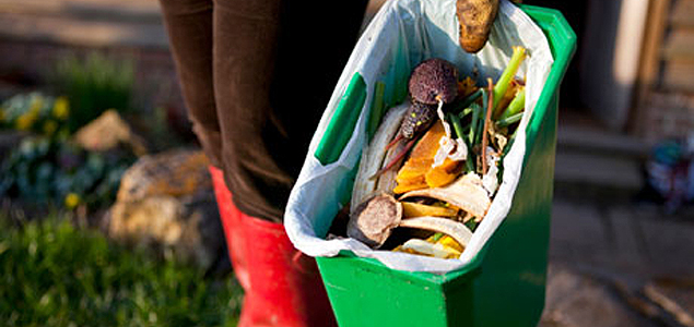 How Your Leftovers Can Destroy the World – or Save It