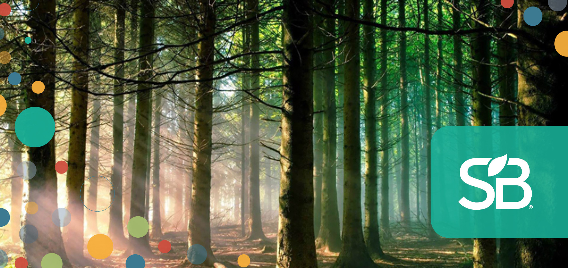 Weyerhaeuser Certifies Nearly 20 Million Acres to Sustainable Forestry