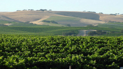 First Stewardship Travel Program in US Launches in CA Wine Country