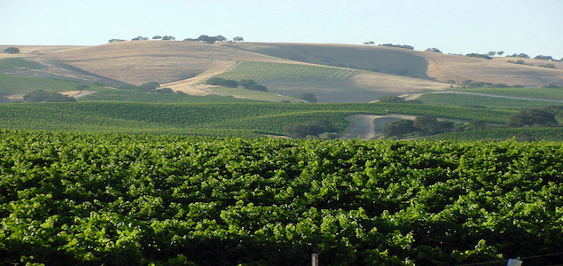 First Stewardship Travel Program in US Launches in CA Wine Country