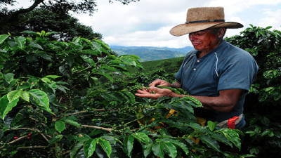 Fair Trade USA, Kiva Launch Microlending Program for Fair Trade Farmers