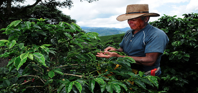 Fair Trade USA, Kiva Launch Microlending Program for Fair Trade Farmers