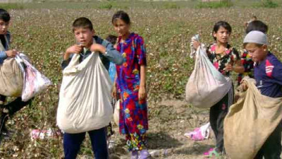 IKEA, M&S, lululemon Join Brands Protesting Forced Child Labor in Uzbek Cotton Fields