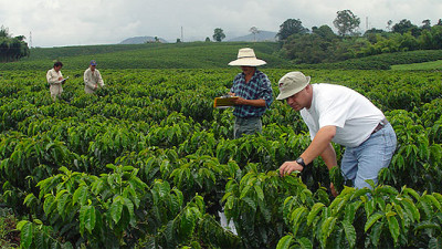 SAP Partners With Colombian Coffee Growers Federation to Support Rural Workers
