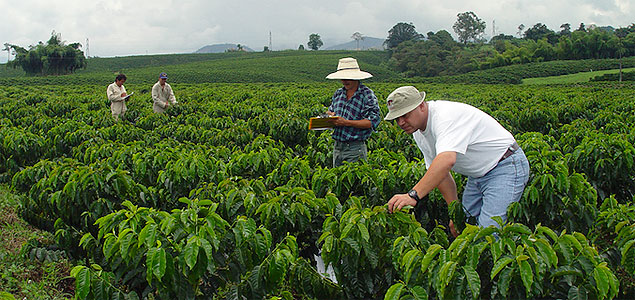 SAP Partners With Colombian Coffee Growers Federation to Support Rural Workers