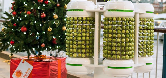 World's First 'Brussels Sprout Battery' Lighting Up UK Christmas Tree