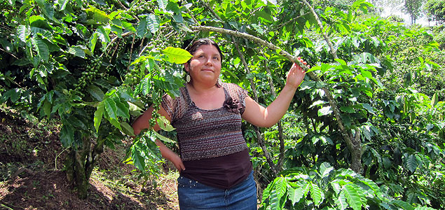 Insights from COP19: Women Play a Critical Role in Global Climate Crisis