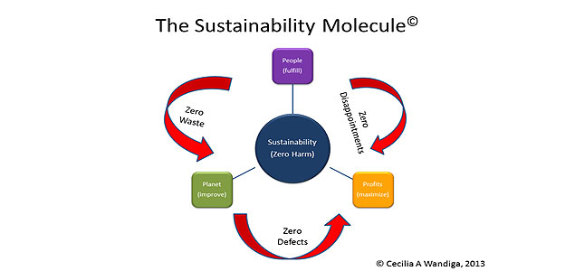 Rethinking the Obvious: Lean and Sustainability