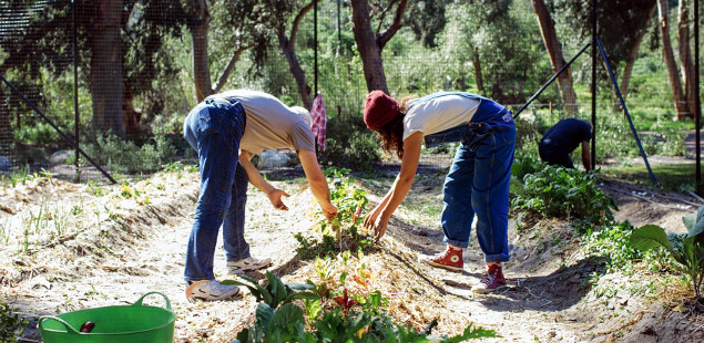 SAMBAZON, Ecology Center Seeking College Students with Purposeful Business Ideas