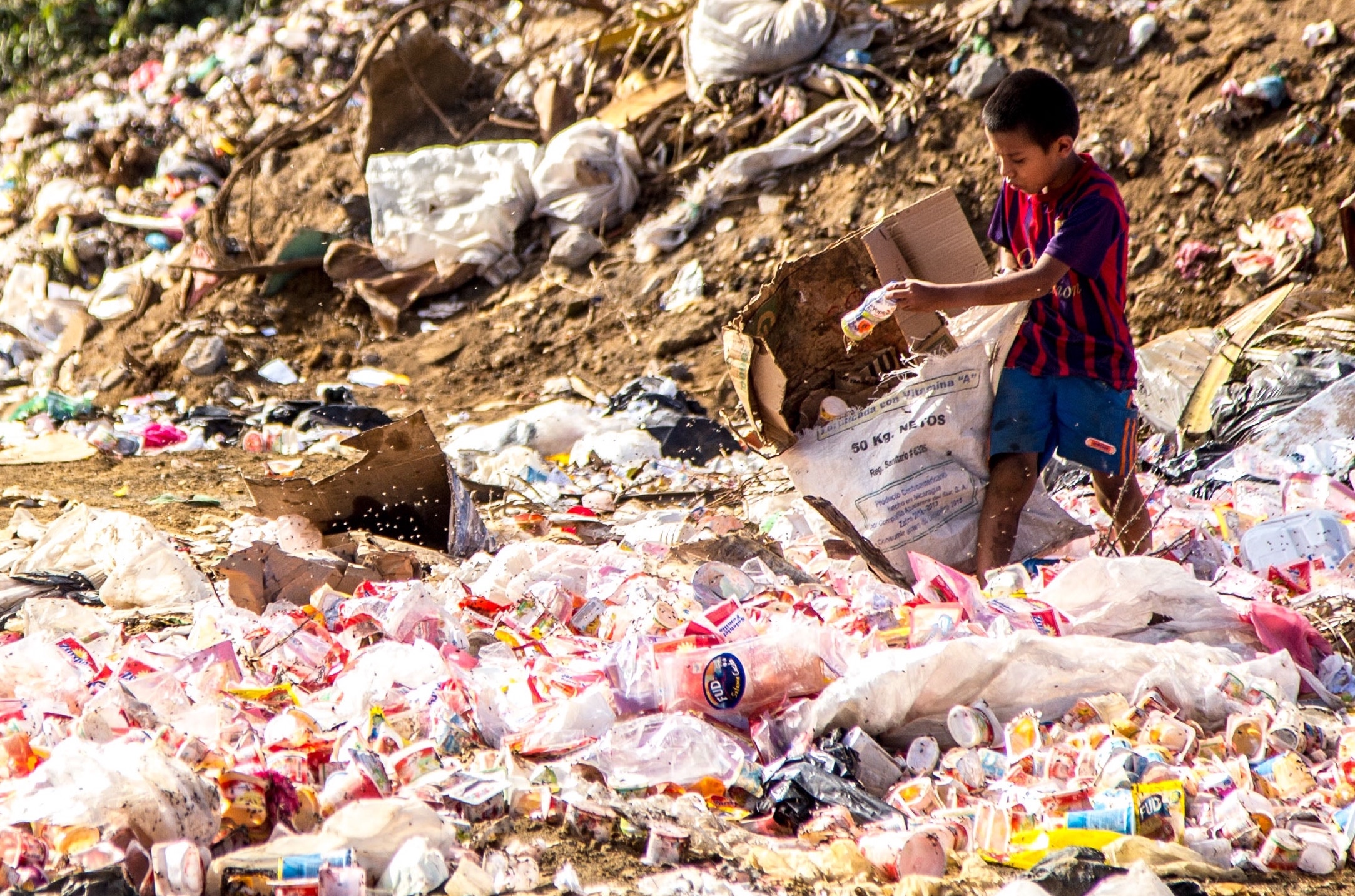 Braskem, Embalixo and Pão de Açúcar join forces to produce garbage bags with recycled material