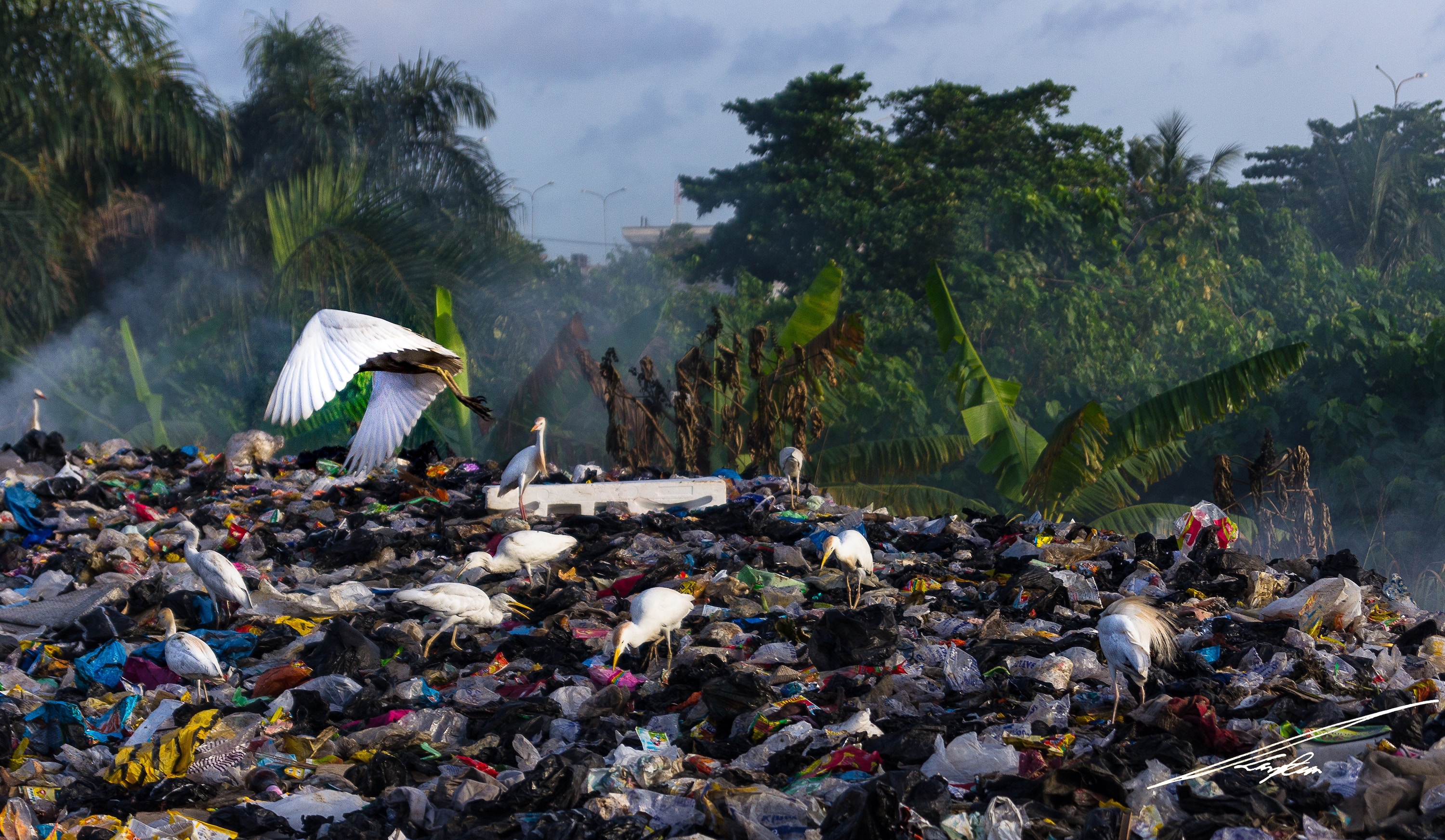 Rethinking the World’s Waste Dilemma