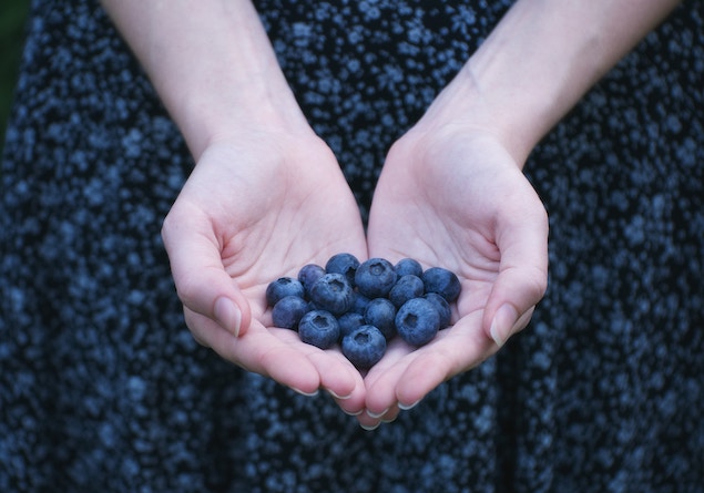 The Nestlé Family welcomes Terrafertil, A Natural Foods Company