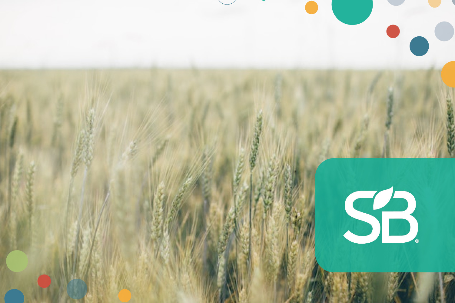 Novozymes New enzyme helps poultry farmers produce more from less feed