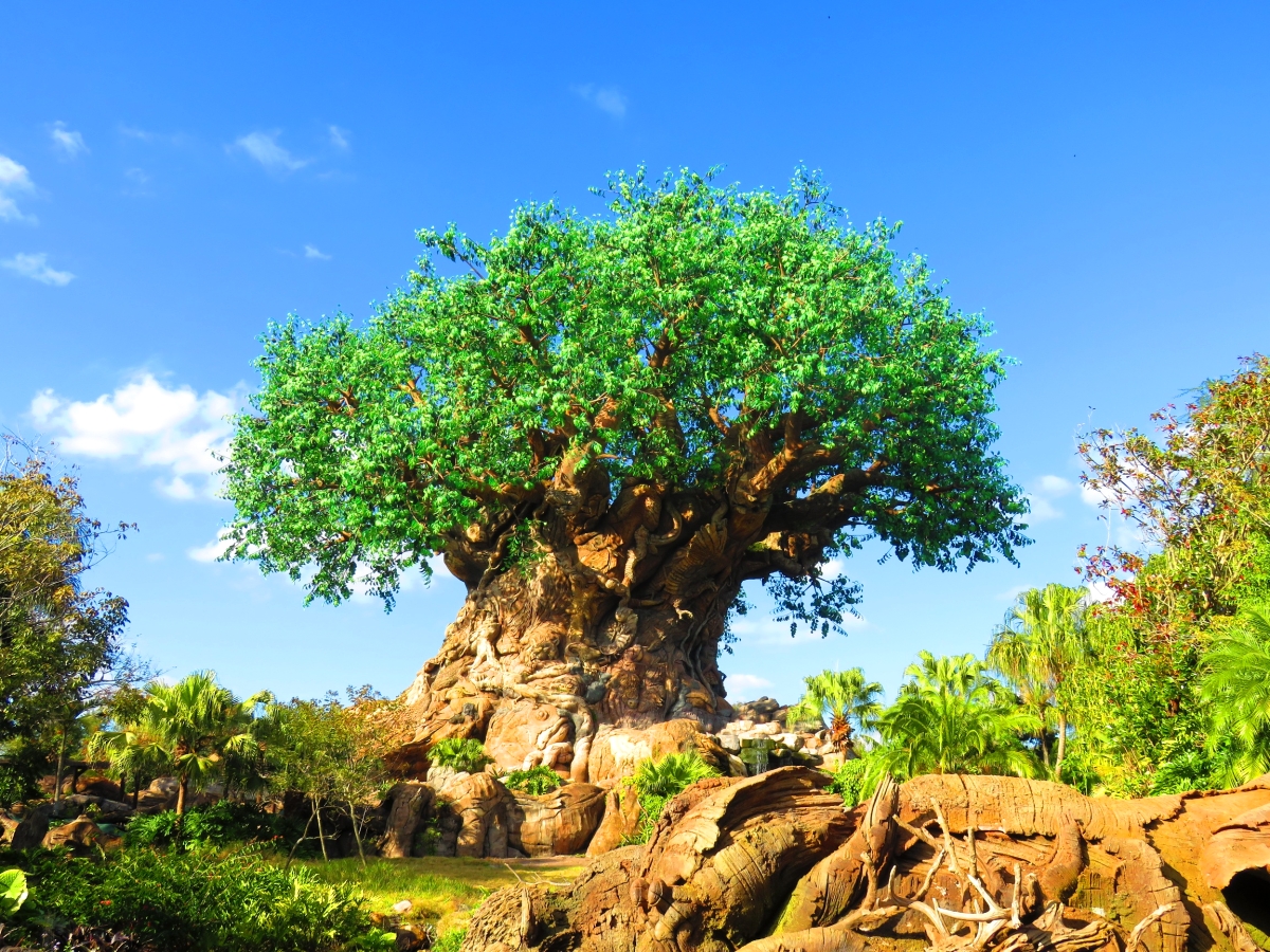 The Disney Conservation Fund Awards $5 Million to Conservation Organizations and Names Its 2018 Disney Conservation Heroes