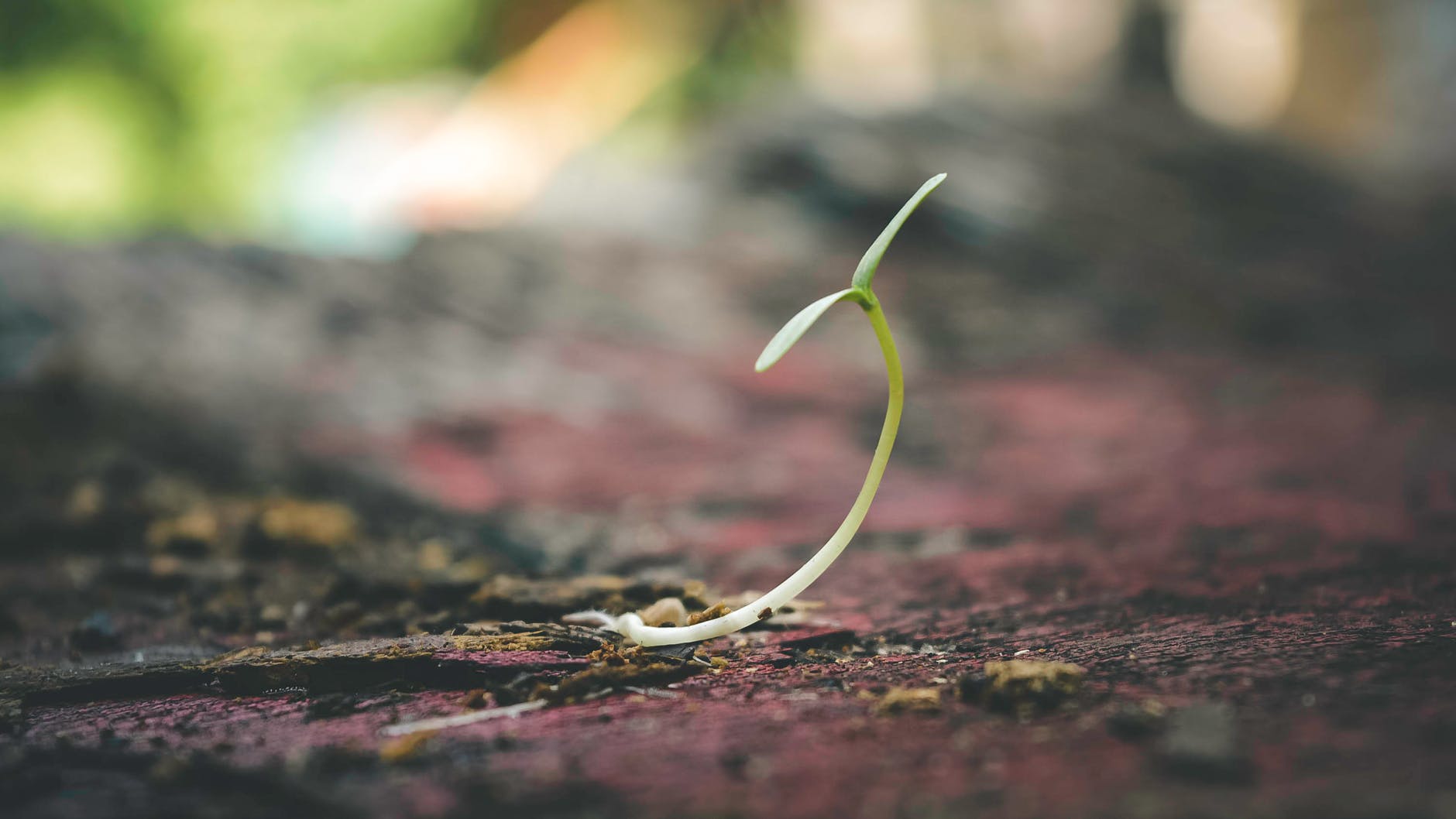 DuPont Biomaterials Joins the Ellen MacArthur Foundation’s CE100 – A Pre-competitive Innovation Program Accelerating the Transition to a Circular Economy