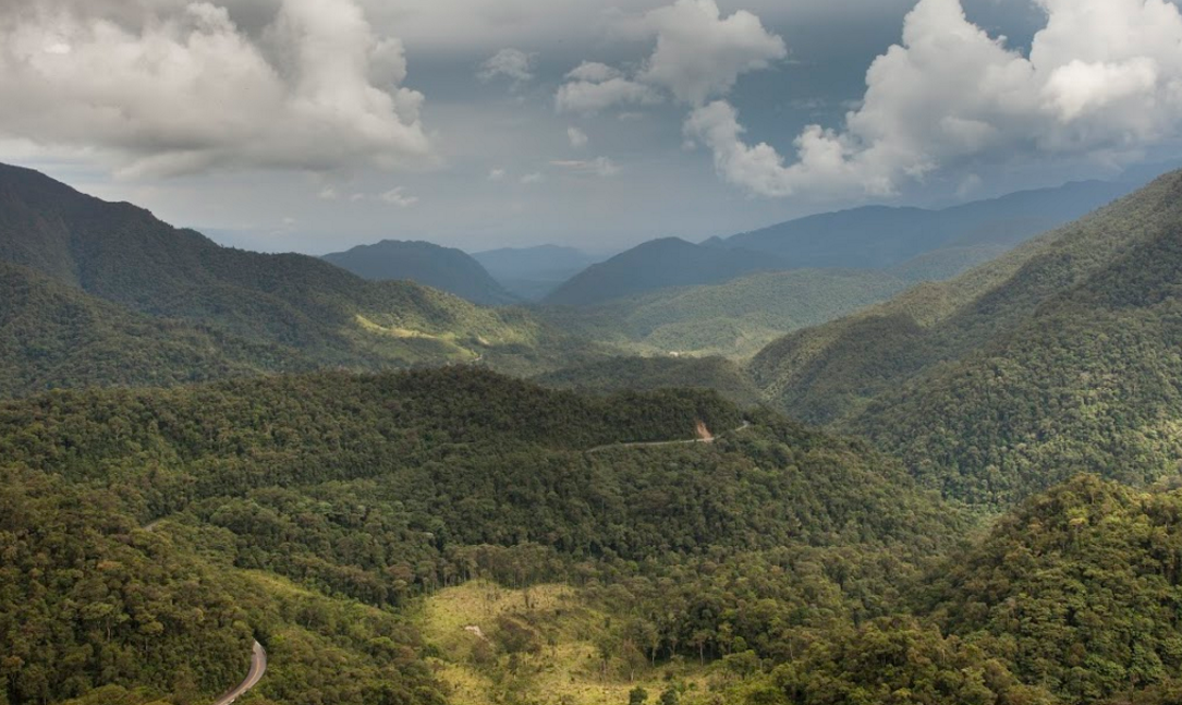 Disney Brings Conservation Efforts in Peru to U.S. Parks and Resorts