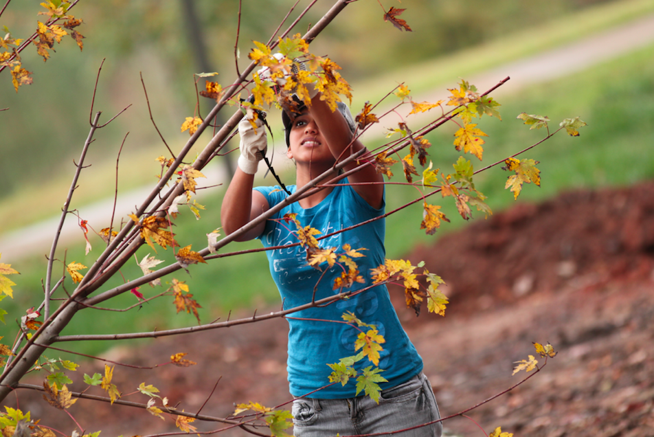 The Arbor Day Foundation Partners with General Motors, Procter & Gamble and Sustainable Brands on Tree Planting to Beautify Detroit Park