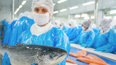 Biomar Top Rated Salmon Sustainability Fish Feed Company
